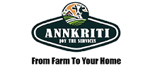 Annkriti