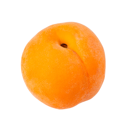Apricot fruit