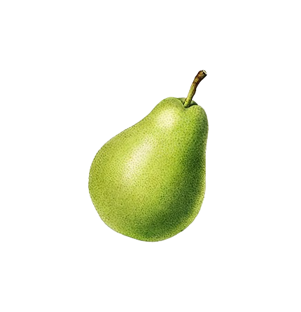 Pear